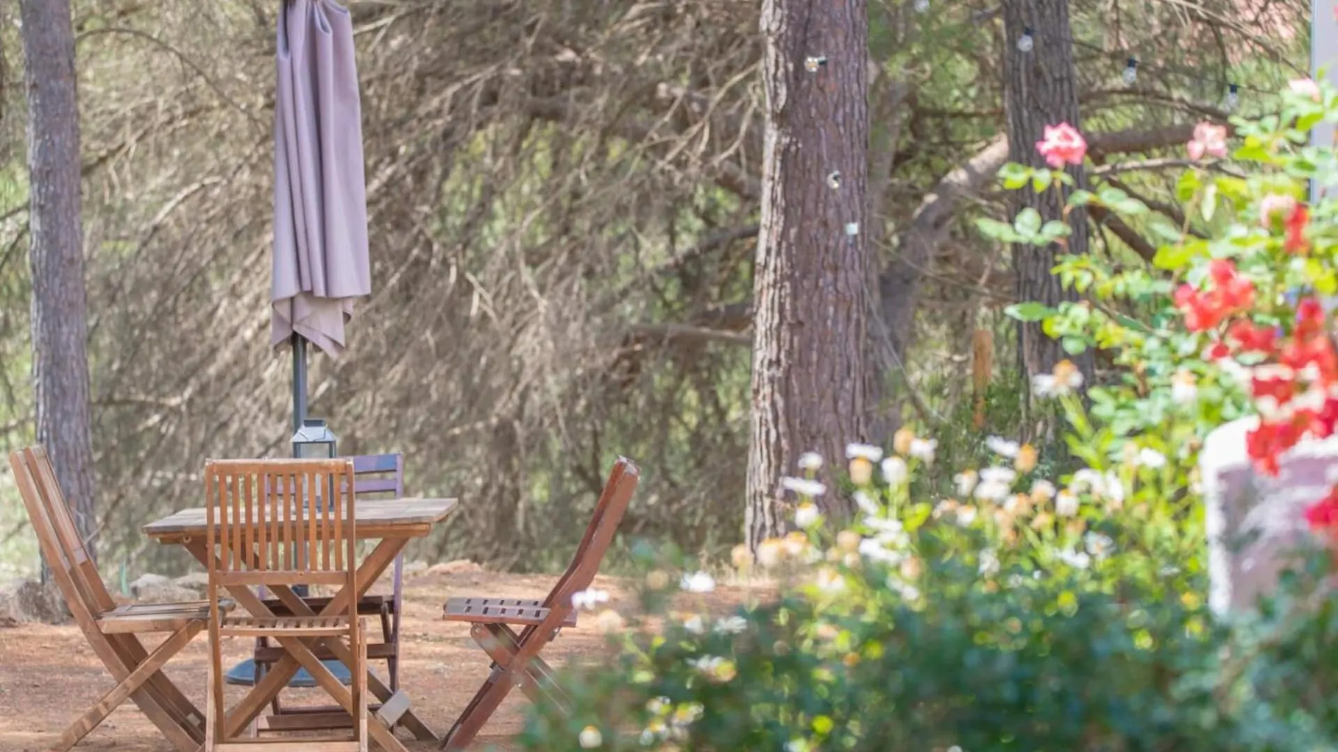 ヴィラ Casa Can Vert Con Piscina Santa Gertrudis